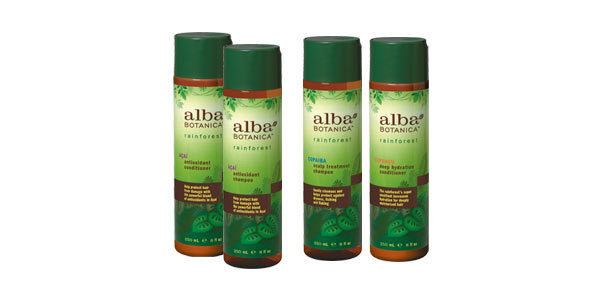 albarainforest